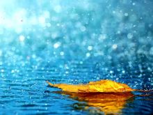 Rain