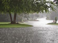 Rain