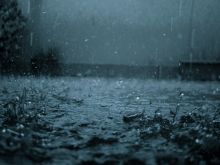 Rain