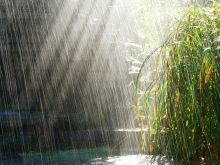 Rain