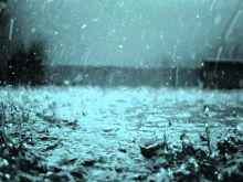 Rain