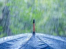 Rain