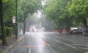 Rain