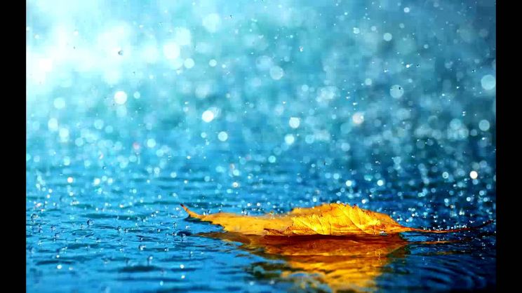 Rain