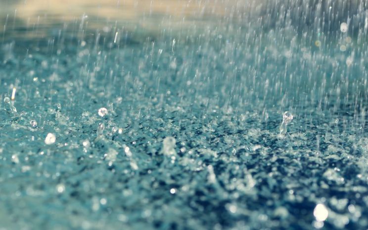 Rain