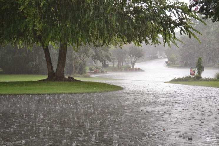 Rain