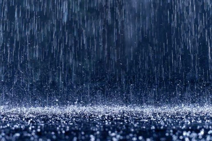 Rain