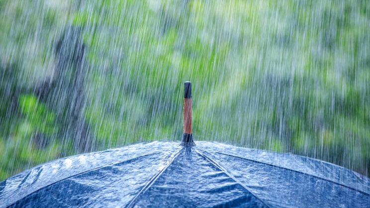 Rain