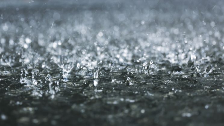 Rain