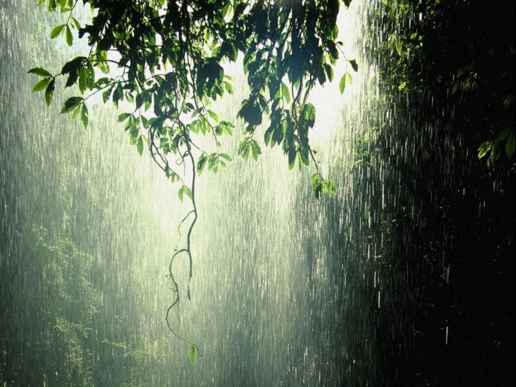 Rain