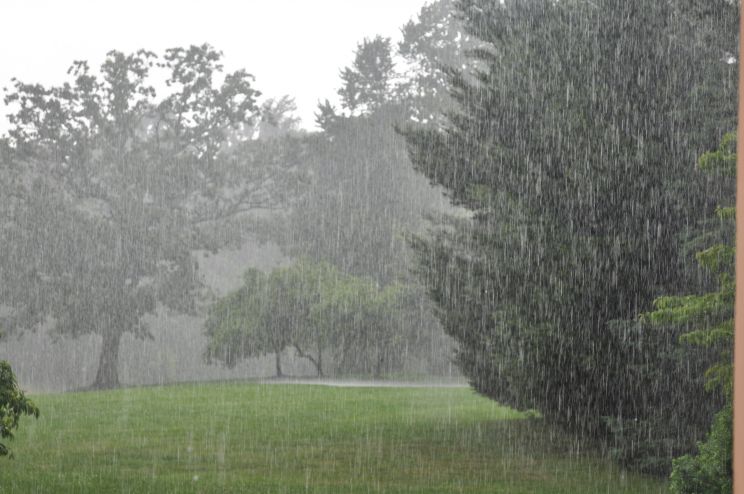 Rain