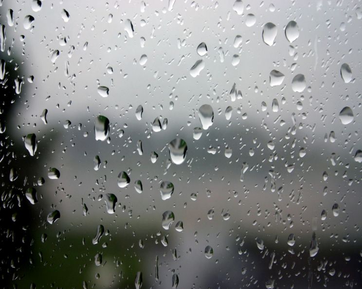 Rain