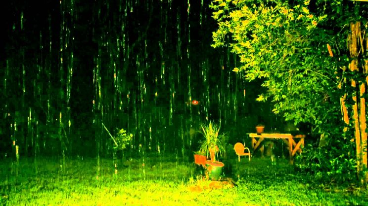 Rain