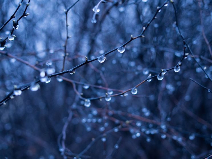 Rain