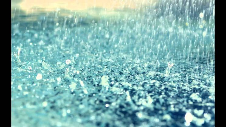 Rain