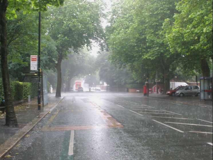 Rain