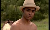 Rainbow Francks