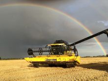 Rainbow Harvest