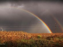 Rainbow Harvest photo