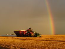 Rainbow Harvest