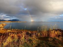 Rainbow Harvest