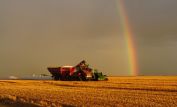 Rainbow Harvest