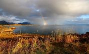 Rainbow Harvest