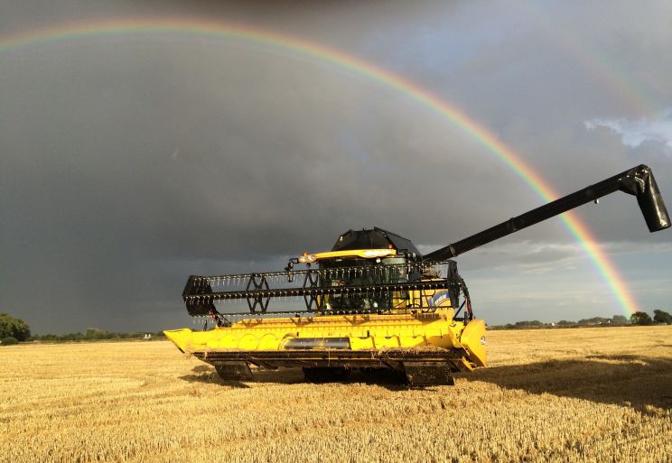 Rainbow Harvest