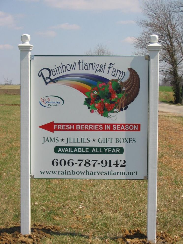 Rainbow Harvest