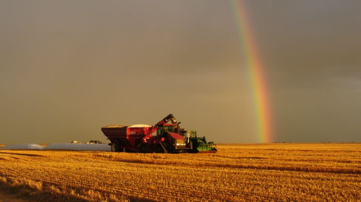Rainbow Harvest