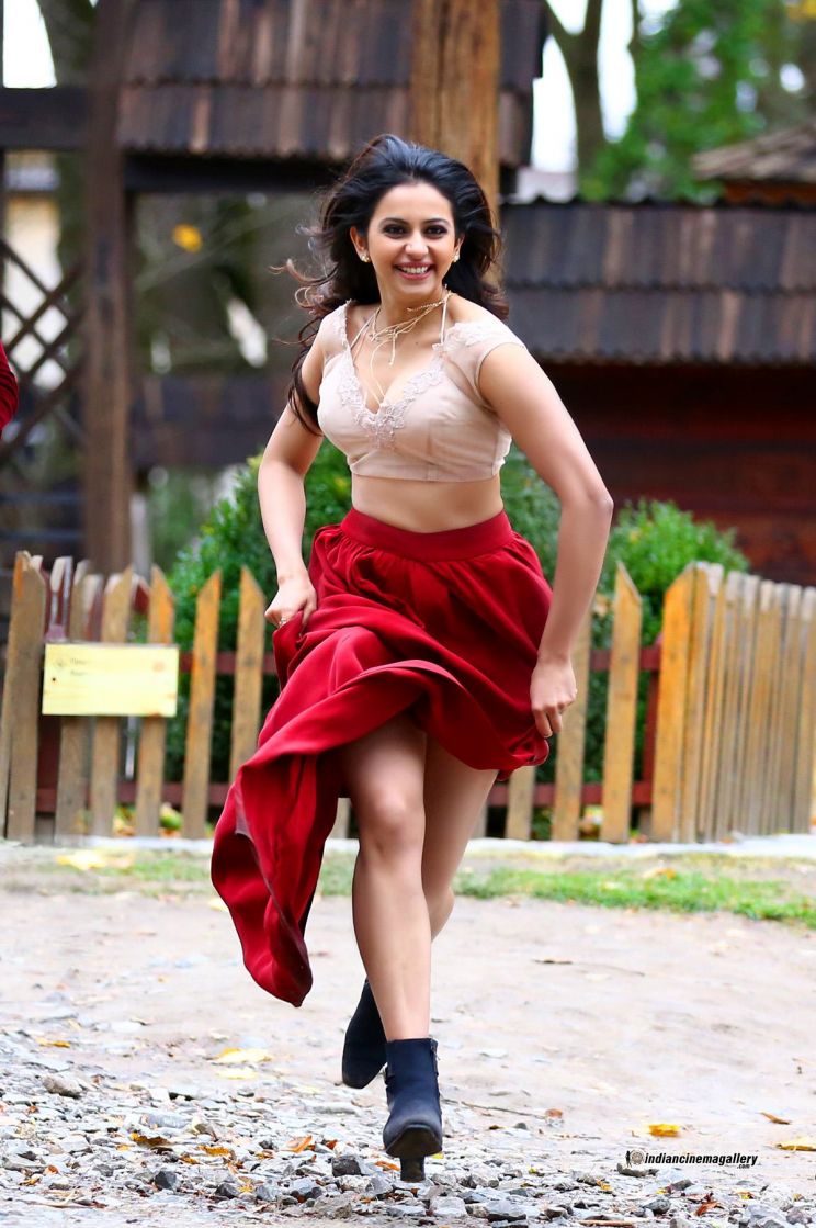 Rakul Preet Singh