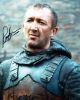 Ralph Ineson