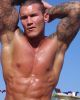 Randy Orton