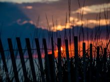 Randyll Roberts