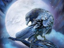 Raven
