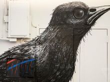 Raven