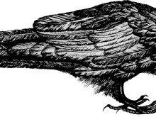 Raven