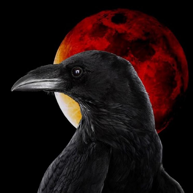 Raven