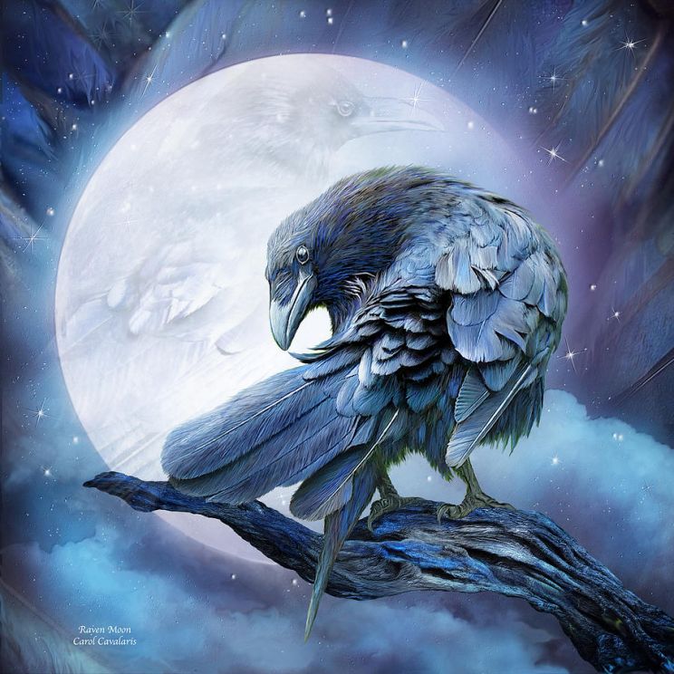 Raven