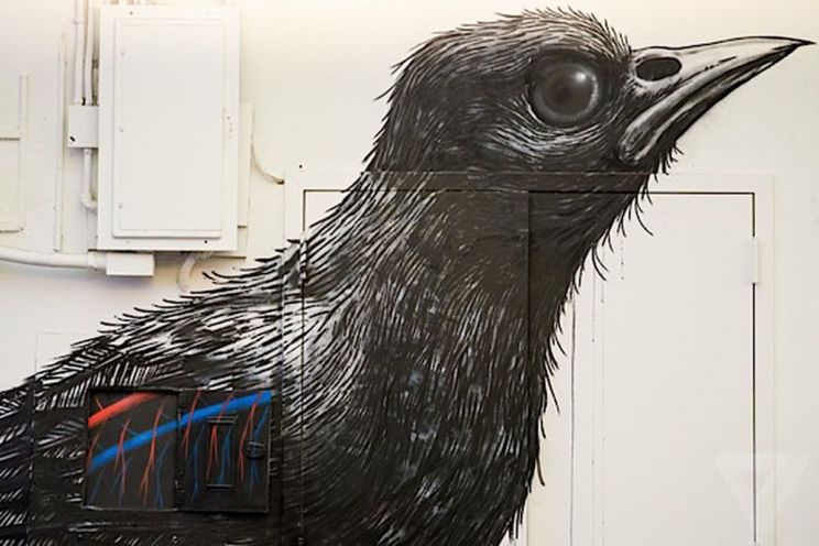 Raven