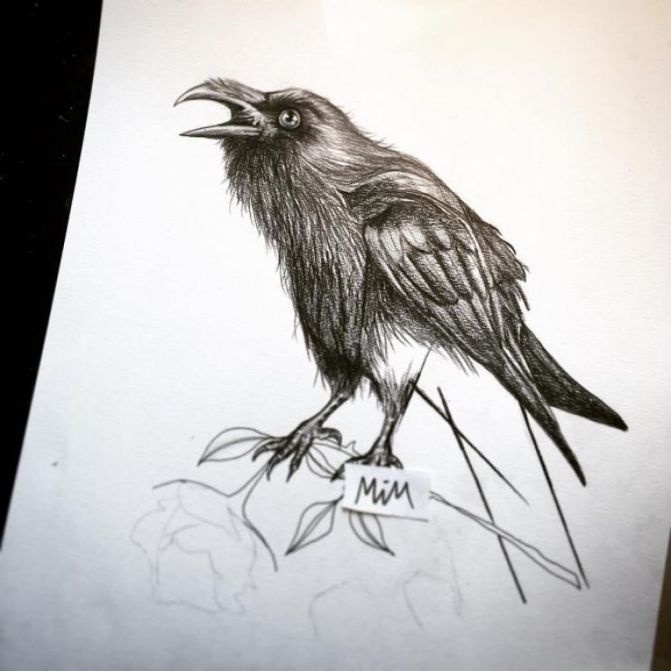 Raven