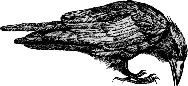 Raven