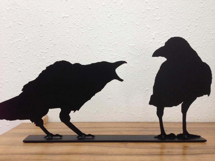 Raven