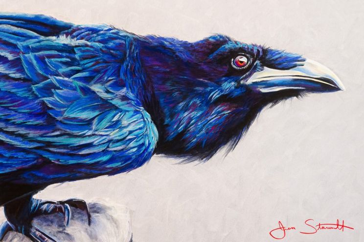 Raven