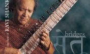 Ravi Shankar