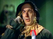 Ray Bolger