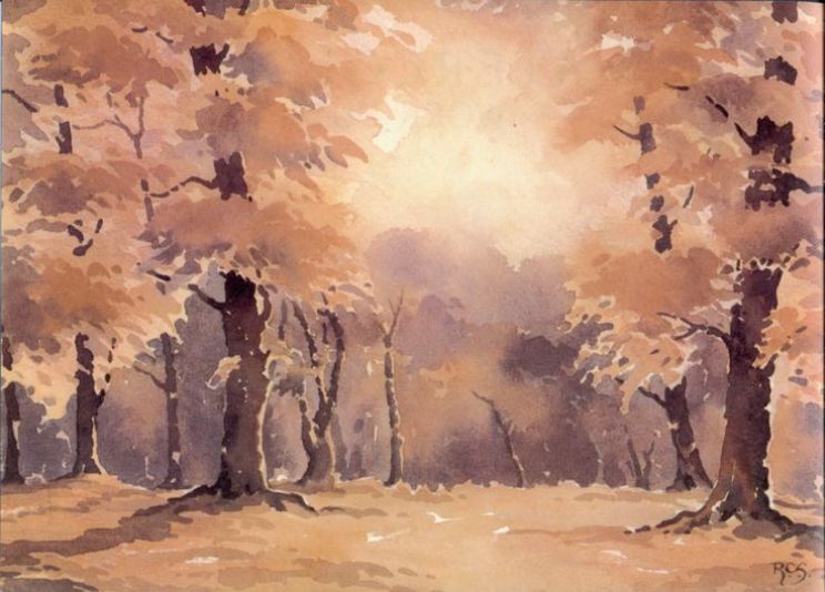 Ray Campbell