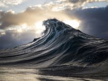 Ray Collins