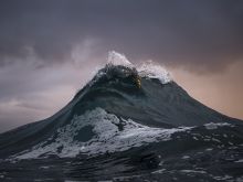 Ray Collins