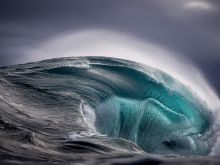 Ray Collins